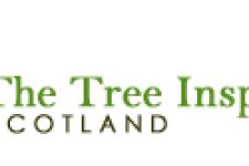 Logo for The Tree Inspector Logo for The Tree Inspector